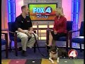 Patrick Logue - Bark Busters Dog Behavioral Therapist