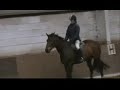 The horsey cancan The horsey cancan