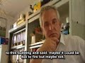 Jowenko WTC7 Demolition Interviews, 3 of 3