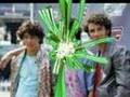 jONAS bROTHERS