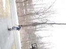 Giglia Skateboard