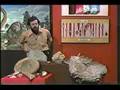 Invertebrate Fossils - Lesson 16 - Part 3 of 7