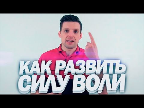 Иллюстрация / Как развить силу воли (100% работает). Павел Багрянцев