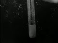 Promotiefilm: Melk is goed voor elk (1941)
