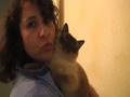 More Than One Way To Wash A Cat