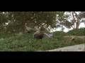  - MovieZen Video