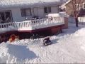 Backyard Spine Transfer