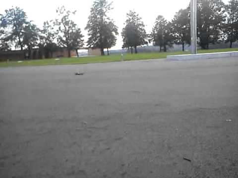 Watch RC Video: 'Thunder tiger F1 rc 1x10'
