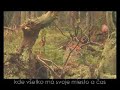 Tich� dolina (TANAP) znovu v ohrozen�! www.ticha.sk