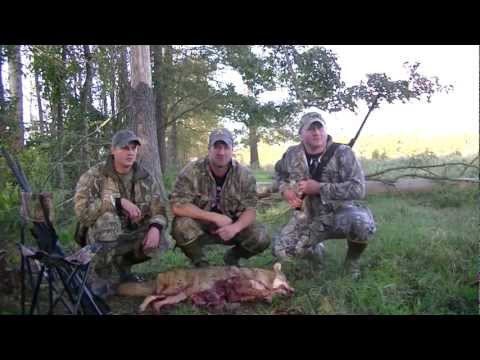 how to locate coyotes