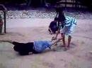 Damai Beach Resort Overnight Stay (Part 9)