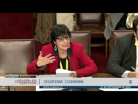 Defensora Nacional advierte la peligrosidad de no controlar la actividad investigativa de las polic&iacute;as ante el aumento de sus facultades en proyecto de ley