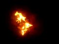 Our fire