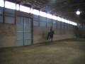 videos de MOV018 1