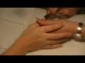 Acrylic Nails Rebalance