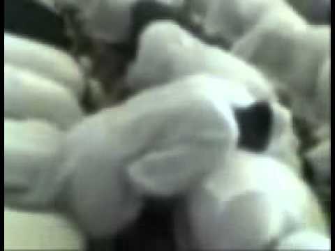 دبر