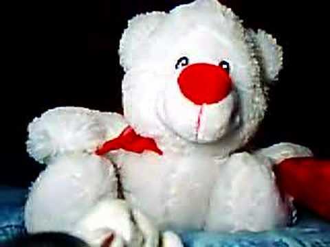 Programa Polar(conselhos de Ruy)