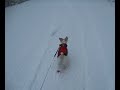 Snow Patrol
