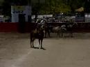 Charreada en Campeche