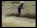 Hardcore Pinguin(1).3gp