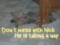 Nick taking a nap