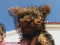 miucha-e-a-irma.html