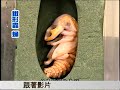 Click here to watch this video 康軒&壹網樂獨家合作介紹影片