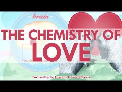 how to love chemistry