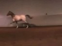 Chase at Liberty Spet 04 2008