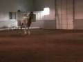 Chase at Liberty Spet 04 2008