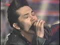 THE  PUNK/THE STAR CLUB(ヒットスタジオR&N）