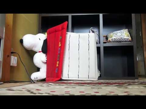 オープンな家に住む猫 - Ohagi has a open house.-