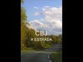 Charlie Brown Jr - A estrada (Cidade Negra)