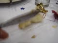 knife pwns potato knife pwns potato