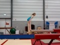 Click here to watch this video Fiona Lanser salto ao van balk