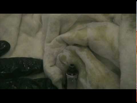 how to bleed audi tt clutch