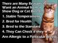 The Propaganda Behind The Pet Extinction Bills The Propaganda Behind The Pet Extinction Bills
