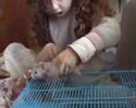 Lilach gets ready for Shavuot