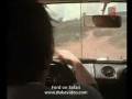 videos de Ford On Safari