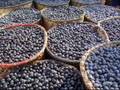 videos de Acai Berry Fruits