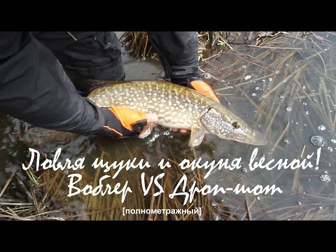 рыбалка в лен.обл на щуку весной рыбалка в лен.обл на щуку весной