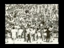 Politehnica Timisoara Politehnica Timisoara