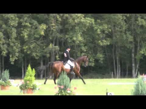 Dressage at Highclere Castle filmed by The Field and Rural Life Magazine