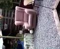 Leuk, hoe zon kleine joekel met n bal omgaat!! Deze bal is ook het enige waar ze tegen blaft!