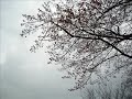 Pictures by ME =)