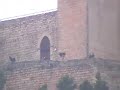 Zoom Test Panasonic SDR-H79