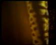 Rivella's Dreambox - part 1