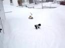 blizzard blizzard