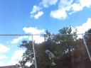 The Climbing Test