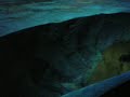 Langkawi Underwater world